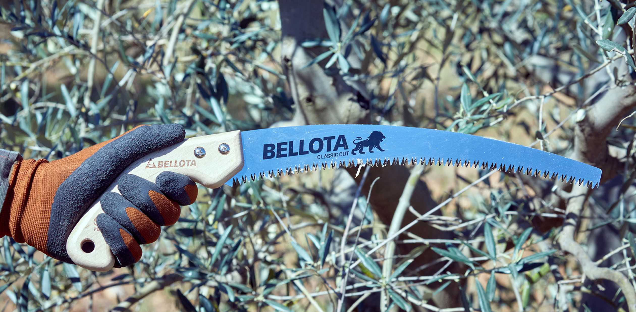 Bellota brand saw